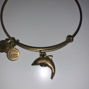 Alex and ani bracelet